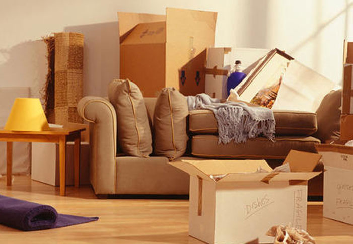 Domestic Relocation