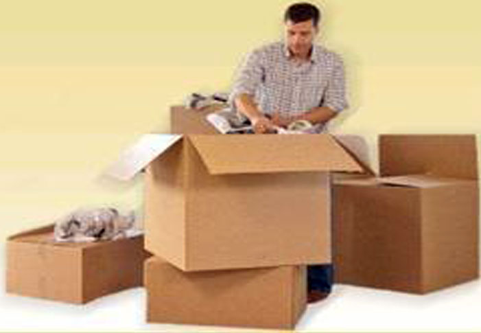 Best Packers and Movers Raipur